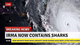 No hay tiburones en el huracán Irma: los <i>fakes</i> han vuelto a invadir las redes sociales